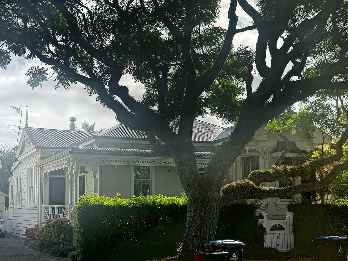 horopito street villa where steve cassidy started cassidy construction in 2000