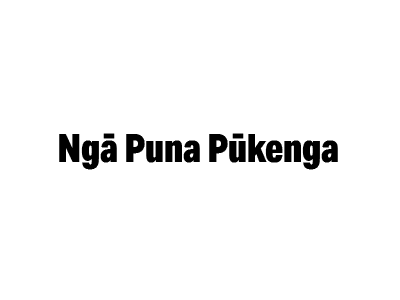 Ngā Puna Pūkenga