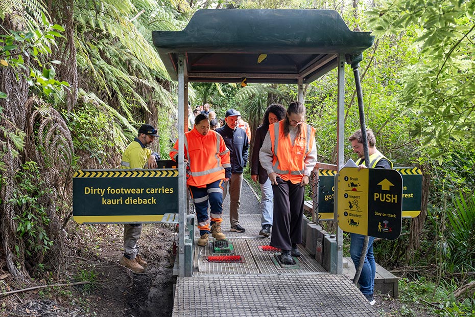 Kauri dieback footwear cleaning station at Lynn Reserve